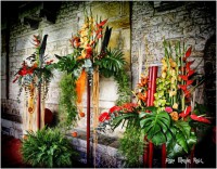 /album/fotogaleria-girona/mg-9006-640x480-jpg/